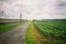 Country road by the railway track