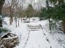 Stairs in the Woods