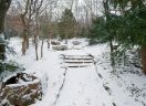 schonbrunn_stairway.jpg